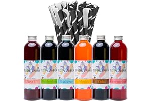 Concentrate 6 x 250 ml and 100 Spoon Paper Straws for Slush Drinks, Slush Ice Cream Yourself | Slush Machine Concentrate 1:5, No Addition of Sugar Required