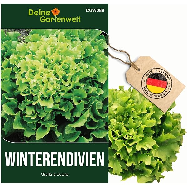 saatgut bestellen alte sorten Bio-Gartengemüse Samen-Set kaufen main image 1