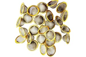 Fenny's Creations 17mm Pipe Screens Gauzes Conical Steel Brass Bowl Metal Filters (20)