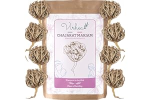 VIRHEA Rose de Jericho Chajarat Mariam x8 - Rozmiar S (mały) - Roślina promująca płodność [Satysfakcja lub usztywniona]