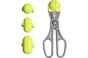 La croquetera – Couleur PISTACHE – Outil multifonction avec 4 moules interchangeables pour masas- pour à douilles, albóndigas, boules, sushi – 100% espagnol : patenté et fabriqué en Espagne