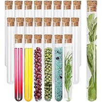10 Stuks Reageerbuisjes Met Kurk – 16x100 Mm, Transparant, Van Kunststof, Geschikt Voor Kruiden, Zaden, Vloeistoffen En DIY-projecten