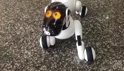 anysun robot dog