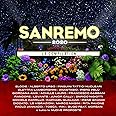 Sanremo 2020