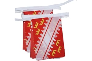 AZ FLAG - Guirlande Drapeau Alsace - 6 Mètres Avec 20 Fanions Alsacien - Province D'Alsace De 21x14 cm - Petits Drapeaux 100% Polyester - 60g