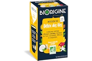 BiOrigine - Infusion bio Détox des Iles - Oranger Curcuma Coco Citronnelle Hibiscus Gingembre - Saveur naturelle fruits exotiques - Produit naturel - 20 sachets