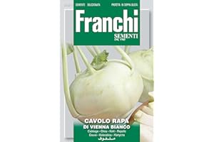 FRANCHI SEMENTI SEMENTI DI ORTAGGI DI QUALITA' PER USO HOBBYSTICO PROTETTE IN DOPPIA BUSTA (CAVOLO RAPA DI VIENNA BIANCO)