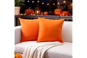 Encasa XO Set di 2 federe per cuscini in cotone I 16x16 in (40x40 cm) - Arancia I Senza inserto I Tinta unita Square Federe I Lavabili in lavatrice | Solo per uso interno