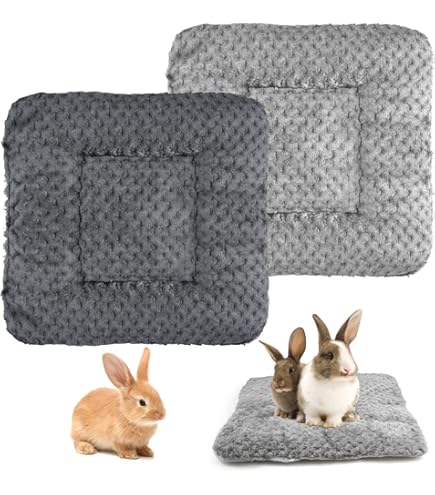 Lot De 2 Tapis De Couchage En Peluche Pour Petit Animal 37x27 Cm - Chaud Et Moelleux - Pour Lapin, Cochon D'Inde, Hamster