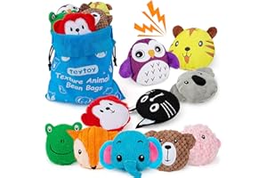 TEYTOY Sensory Bean Bag for Kids 10 Pack,Texture Sensory Beanbags, Sensory Toys for Autism,Animal Sensory Bean Bags with Storage Bag,Sensory Toys for Preschoolers,Fine Motor Sensory Play for Boys and Girls