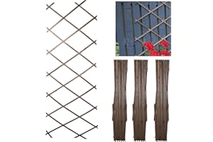 DIVCHI Wooden Trellis Expandable Garden Wall Trellis For Climbing Plants Decoration & Plants Partitioning (Pack Of 3) (180cm x 30cm) (Oak Wood)