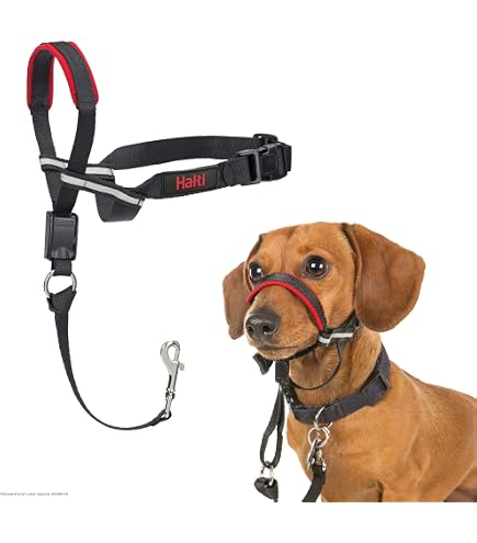 Produktbild von Hundegeschirr Atmungsaktiv M SMALL COMBINATION Hundegeschirr - Reflektierend, Atmungsaktiv & Griffig Für Kleine Hunde Hundegeschirr Mit Griff Orange