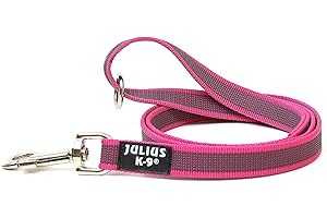 JULIUS K-9 Julius-K9 216GM-PN-1,2HS Laisse antidérapante Color & Gray avec poignée et anneau en O, 20 mm x 1,2 m, Rose-Gris
