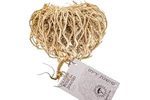 YAKEBA | Rosa de Jericó auténtica | Grande | Anastatica hierochuntica - La Rosa del Desierto | Especial Deco | Para Botella Jardín Vidrio, Mini Terrario uvm. | Rosas secas de Jericó original de Israel