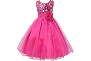 LIVE IT STYLE IT Live It Style Filles à Paillettes Fleur Demoiselle d'honneur Mariage Tenue habillée fête Robe de Baptême Enfants vêtements en Dentelle Princesse bébé 2-10 Ans an