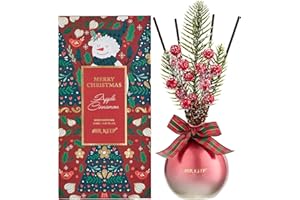 ‎AIRKEEP Airkeep Raumduft Apple Cinnamon, Christmas Reed Diffuser Set 150ml, Raumduft mit Stäbchen, Lufterfrischer Für Badezimmer, Wohnung, Heimdekoration