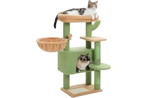 PETEPELA Arbre à Chat Cactus, Petit Arbre a Chat avec Grand Hamac, Griffoir pour Chat, Condo Douillet et Perchoir Détachable Confortable, 88 cm, Vert