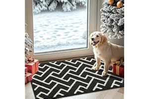 Biscpro Paillasson Intérieur Tapis 50x80cm Entrée Intérieur Extérieur Imperméable,Antidérapant,Absorbant,Tapis pour Entrée,Lavable,Cuisine,Salle de Bain-Dark Gray
