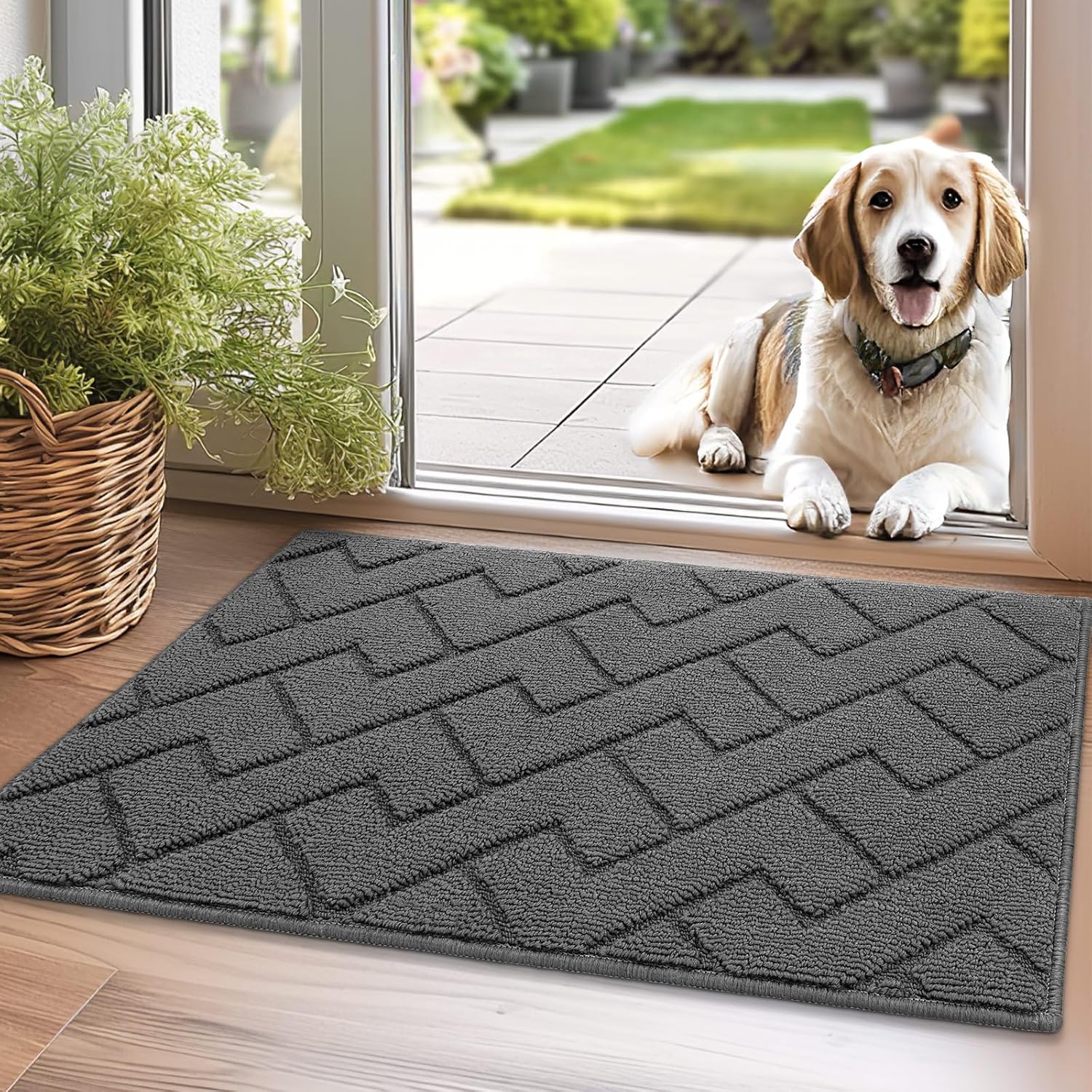 Biscpro Door Mats Indoor,Dirt Trapper Mat Absorbent Non-Slip Low Profile Doormat for Entrance,Inside, Kitchen,Front Door Mat Washable for Pets and Dogs— 50x80cm,Grey