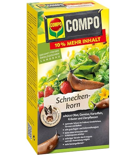 zitronengras saatgut Seedeo® Westindisches Zitronengras Cymbopogon citratus 200 Samen main image 1