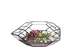 NCYP Terrario de Cristal para Plantas, Irregular, geométrico, tamaño Grande, diseño de Farol, 28 cm