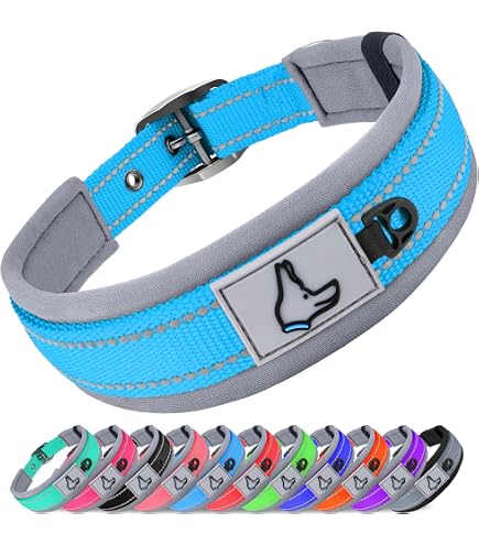 NCAA Haustier Halsband – Offiziell Lizenziert Für Hunde, Verstellbar In 3 Größen