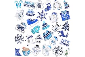 SANNIX 60 Stück Brosche Set, Emaille Pins für Kleidung, Hüte, Accessoires, Geschenke (Winter)