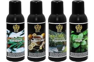 ‎HAF HAF Saunaaufguss Set „Frische Briese“ - 4 x 100ml Sauna Aufgussmittel Eukalyptus, Ingwer-Citro, Lemongras, Minze - Saunaduft mit natürlichen ätherischen Ölen & ohne Zusätze