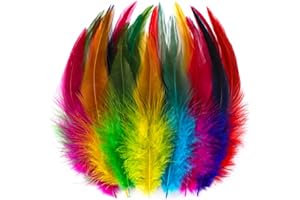 Holmgren Colorful Craft Rooster Feathers - 200pcs 5-7inch Colored Feathers Bulk for Kindergarten DIY Crafts, Art Projects and Party Decorations (Colorful)