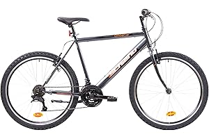 F.lli Schiano Ghost Bicicleta Montaña Hombre