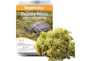 Begeterday 99g Substrats Mousse de Forêt pour Reptiles et Amphibiens, Accessoire idéal pour Les Terrarium de Tortues, idéal pour Conserver l'humidité et la Chaleur en Hiver