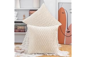 Madizz 2 Pezzi Federe in Velluto Copricuscini Morbido Decorativo Fodere per Cuscino Lusso Stile per Divano Camera da Letto Beige Quadrate 40x40 cm