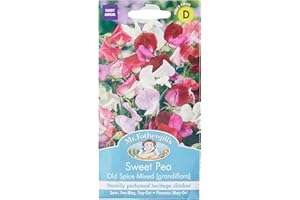MR FOTHERGILLS Mr Fothergill's 16207 Flower Seeds, Sweet Pea Old Spice Mixed (grandiflora)