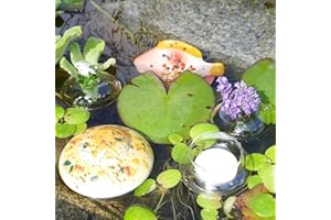 Storm's Gartenzaubereien Miniteich Set Schwimmlinse und Schwimmfisch in gelb mit Blütenringen und Teelichtschale