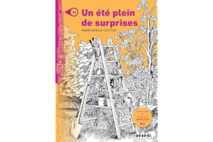 Mondes en VF - Un été plein de surprises - Niv. A2 - Livre + audios