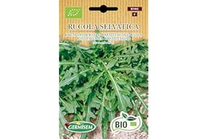 Germisem Bio Graines Roquette Sauvage RUCOLA SELVATICA