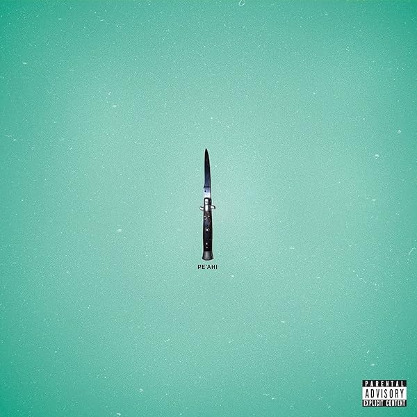 ★ THE RAVEONETTES レコード LP ☆ The Raveonettes レコード LP + 7