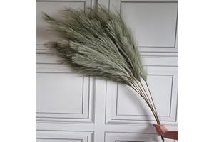 HOMESTREET Single Faux Pampas Grass Stem, Tall 115cm Long Fluffy Artificial Colourful Pampas Grass Dried Flower Style Decor (Sage Green)