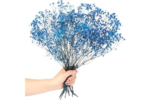 SONGJUM Breath del Bambino Essiccato Fiori Mazzo Naturale Fiori Essiccati Respiro del Bambino Real Gypsophila Branches per la Tavola di Nozze Vaso Partito Giardino DIY Corona floreale Home Decor (Blu tesoro)