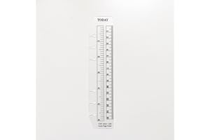 ZELTEN A6 6 fori Raccoglitore Cartella Organizzatore Slide-in Plastica Segnalibro Divisori Righello (Clear1, A6)