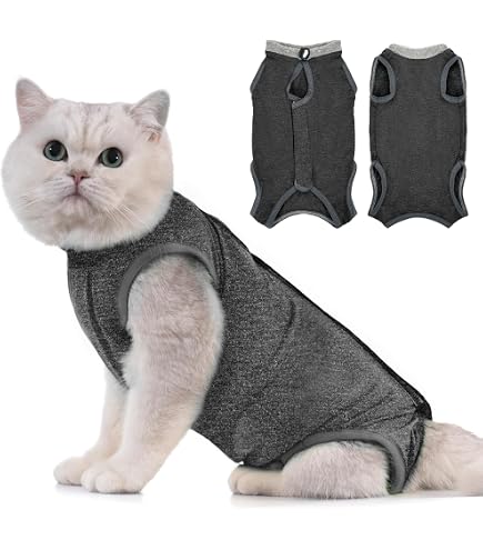 Katzen-Rollkragenpullover Aus Fleece – Beige, Größe XL, Weiches Material, Für Haarlose Katzen
