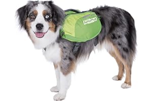 Kyjen 22004 Outward Hound DayPak Hunde-Rucksack Tasche im Satteltaschenstil, verstellbar, Größe M, grün