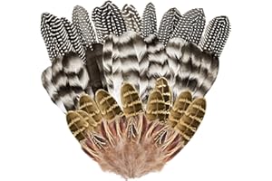 AFEION 40 Stück Natürliche Truthahnfedern, 12-20CM Feder Truthahnfedern, Federn Handwerk zum Basteln für DIY Traumfänger Kostüm Karneval Masken Kranz Hochzeit Party