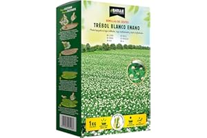 Semillas Batlle Trebol blanco (repens enano)