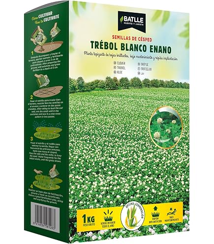 Flower Semillas De Trébol Blanco Enano 250 G | Cubre Hasta 25 M² | Tolerante A Sol Y Sombra | Riego Moderado | Tapizante Resistente Al Pisoteo