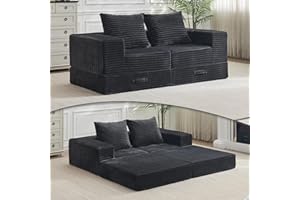 ‎VAMCHEER Vamcheer 2er Sofa mit Schlaffunktion -2 sitzer Modulares Schlafsofa, Zweisitzer Sofa mit 2 Kissen, Moderne Schlafcouch für Wohnzimmer und Schlafzimmer, Schlafcouch ausziehbar 180 cm breit, Grau