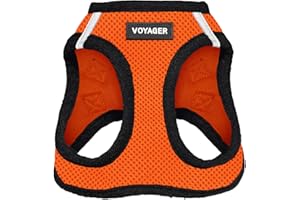 Best Pet Supplies Voyager Step-in Air Dog Harness - All Weather Mesh Step in Vest Harness for Small and Medium Dogs by - Harness (Orange/Black Trim), X-Small