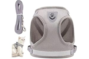 ZOVATOR Cat Lead and Harness Set,Small Cat Harness Kitten Lead and Harness Set Soft Mesh No Pull Cat Harness and Lead Set Cat Walking Harness and Lead Adjustable Cat Lead and Harness Set Cat Leash for Outdoor