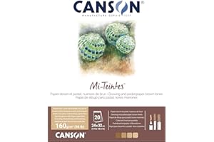 CANSON Mi-Teintes Coloured Drawing 160gsm 24x32cm Paper Pack, Double Sided: Honeycomb & Fine Grain, Pad Glued Short Side, 4 Brown Tones, 20 Sheets, For Professional Artists & Illustrators