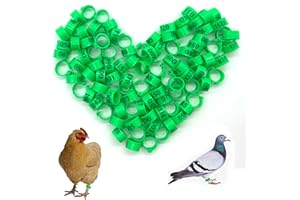 DHER Anneaux pigeon oiseaux Anneaux de volaille identification de poulet 100 pièces 10mm avec baïonnette digitale anneaux d'identification pour pigeons, numéros 1-100 anneaux de pied de pigeon (Vert)